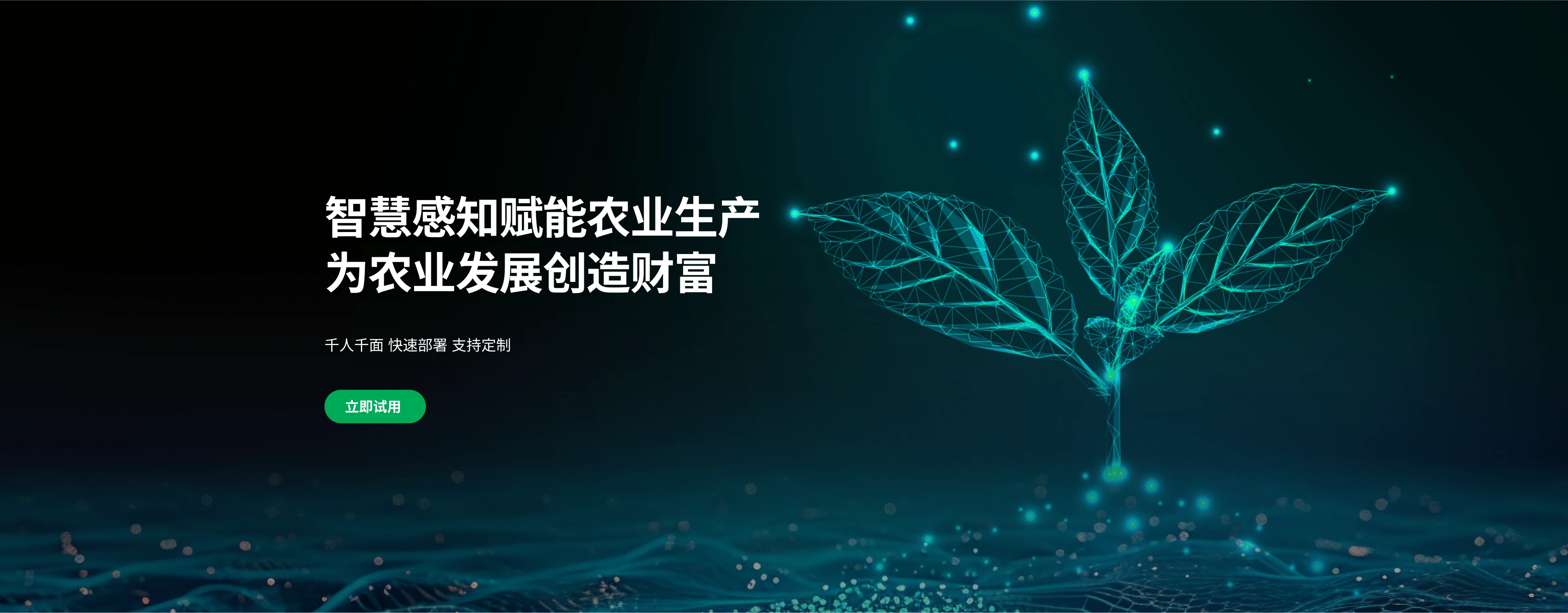 首页轮播图2